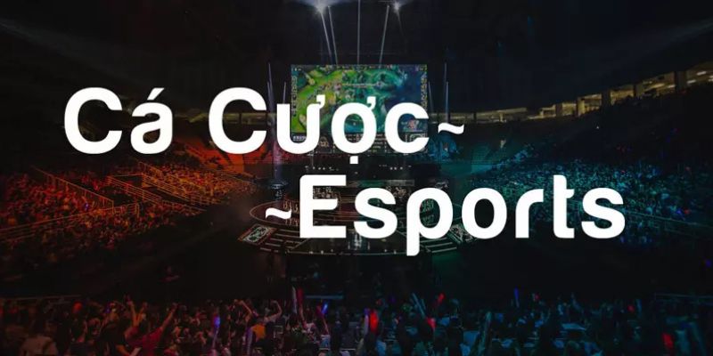 ca-cuoc-esports-789win