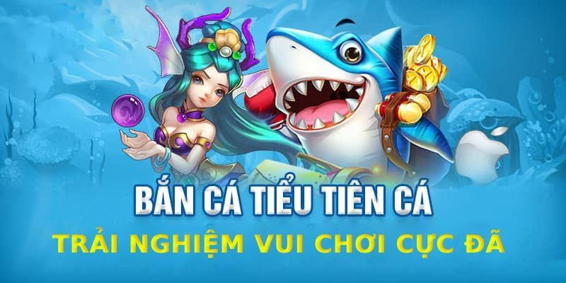 ban-ca-tieu-tien-goi-y